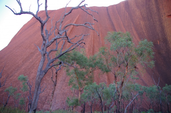 Ayres Rock, NT (Uluru)
