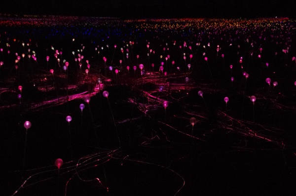 Field Of Light - Ayres Rock, NT (Uluru)
