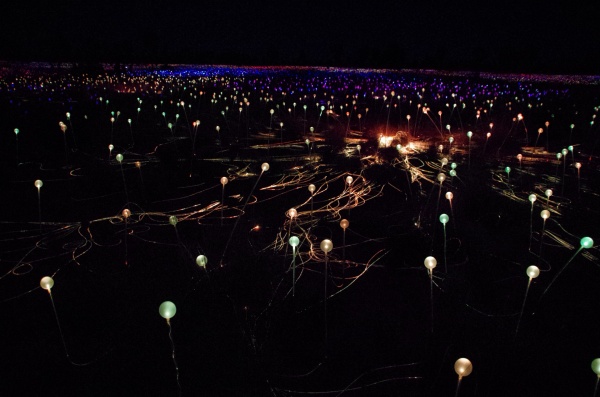 Field Of Light - Ayres Rock, NT (Uluru)
