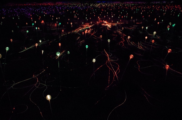 Field Of Light - Ayres Rock, NT (Uluru)
