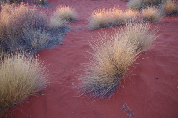 Ayres Rock, NT (Uluru)
