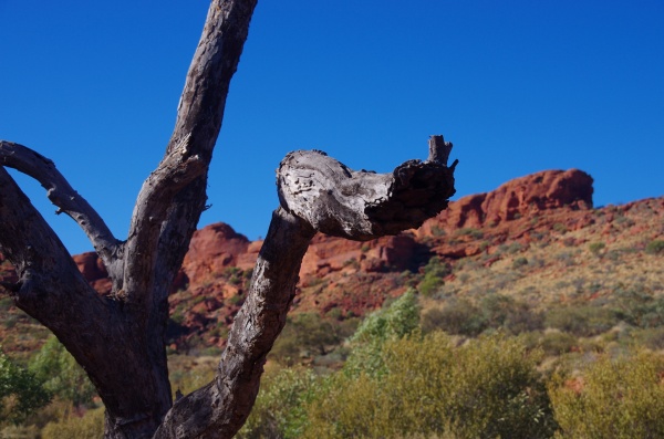 Kings Canyon, NT
