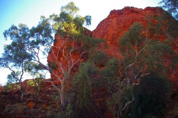Kings Canyon, NT
