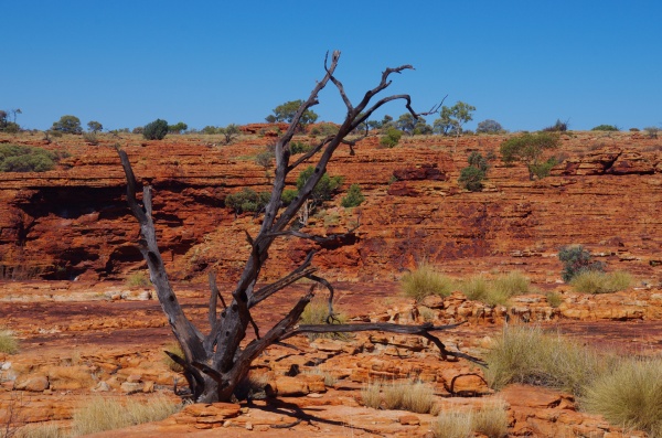 Kings Canyon, NT
