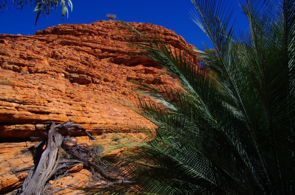 Kings Canyon, NT
