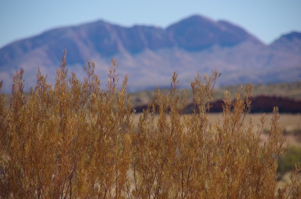Macdonnell Ranges, NT
