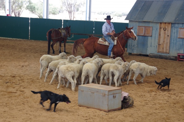 Stockman's Hall of Fame - Longreach QLD
