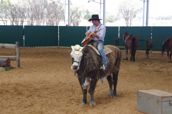 Stockman's Hall of Fame - Longreach QLD
