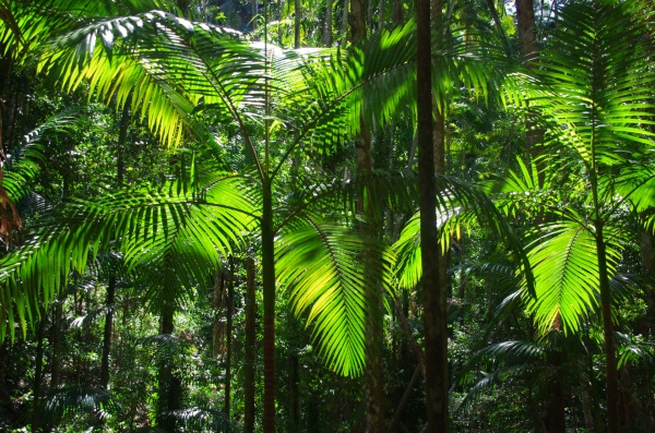 Fraser Island - QLD
