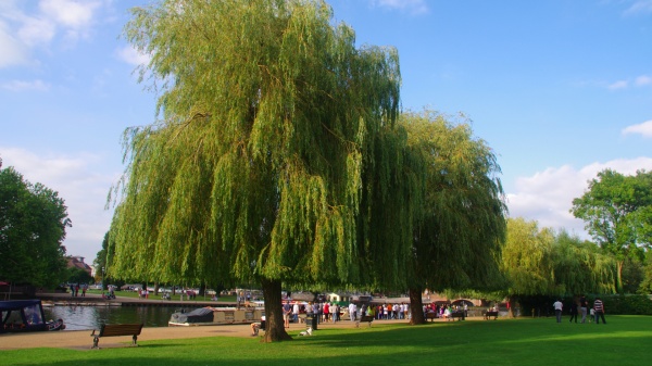 Cotswolds bourton on the water
