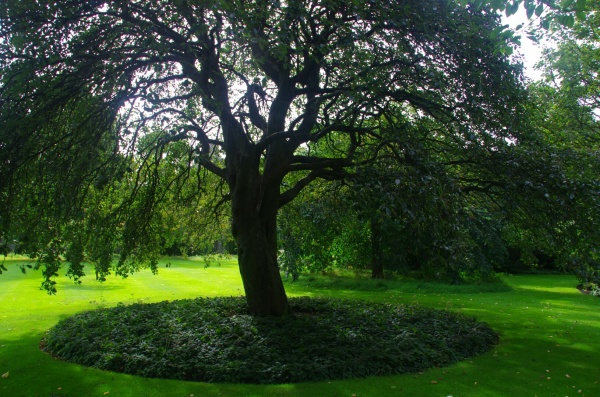 Scotland
