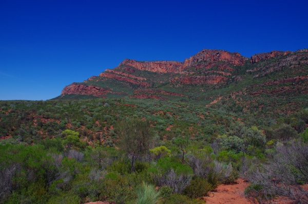 Flinders Ranges

