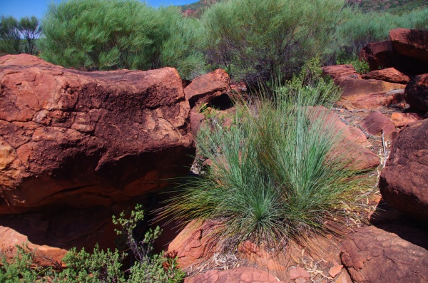 Flinders Ranges - Wilpena Pound
