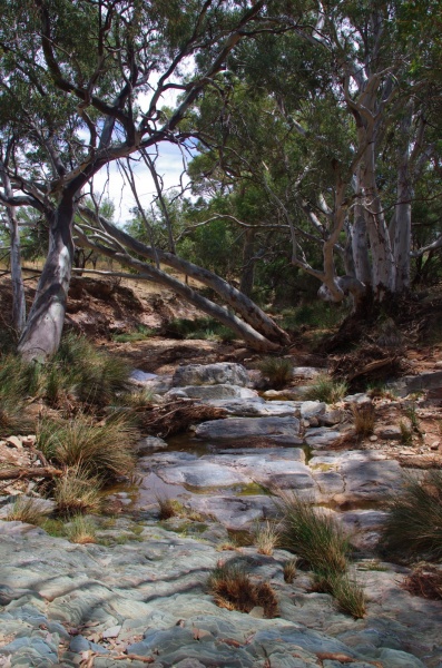 Glass Gorge creek crossing
