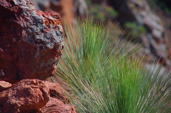 Flinders Ranges - Arkaroola
