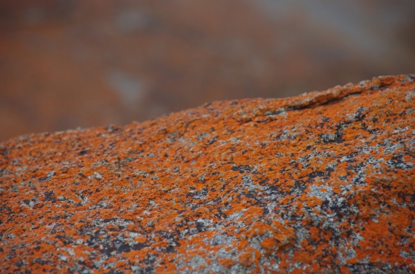 Remarkable Rocks
