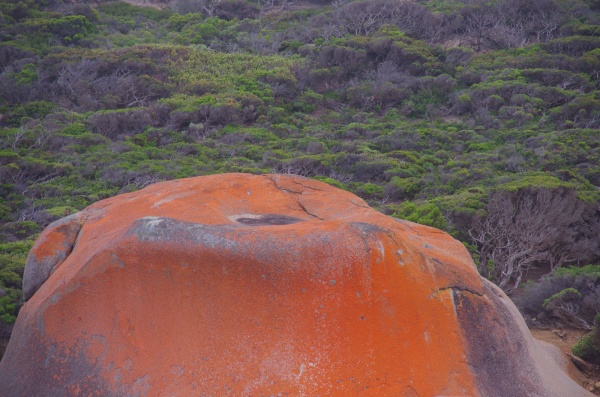 Remarkable Rocks
