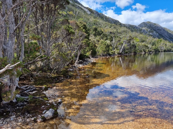 Cradle Mountain - Dove Lake
