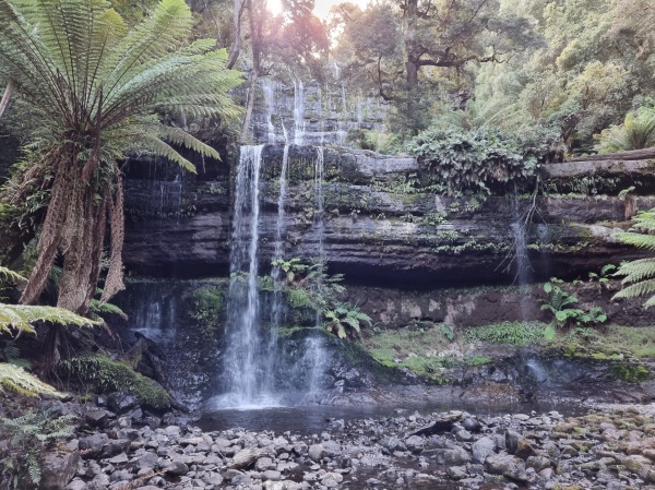 Mount Field National Park
