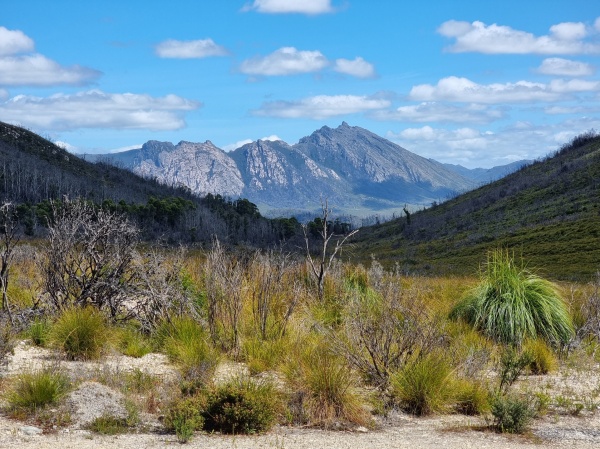 Mount Field National Park

