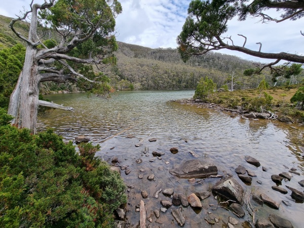 Mount Field National Park
