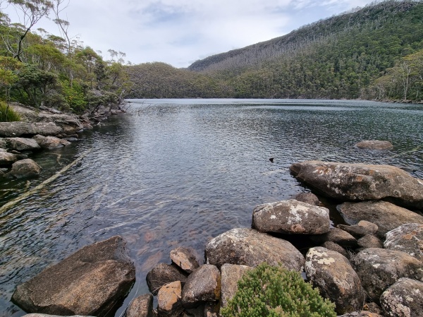 Mount Field National Park
