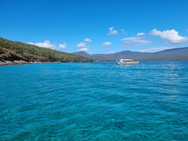 Bruny Island - cruise
