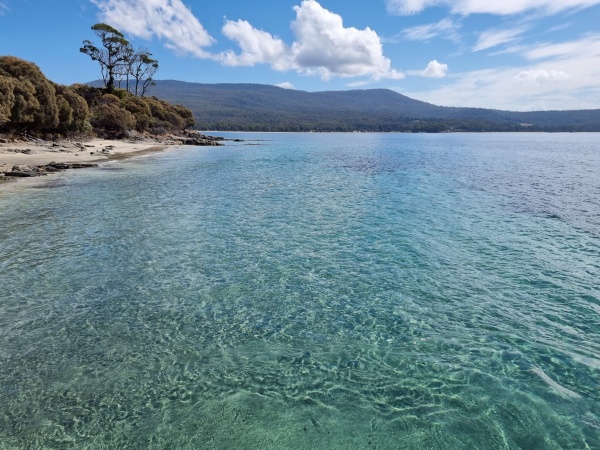 Bruny Island - cruise
