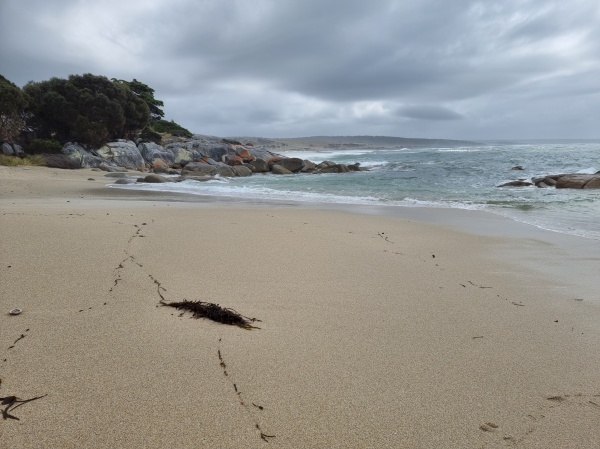 St Helens - Bay Of Fires
