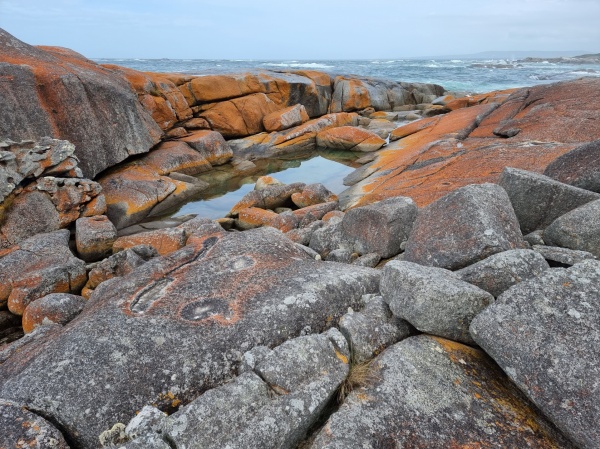 St Helens - Bay Of Fires
