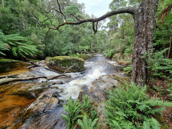 Halls Falls
