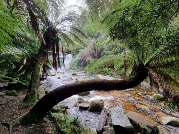 Halls Falls
