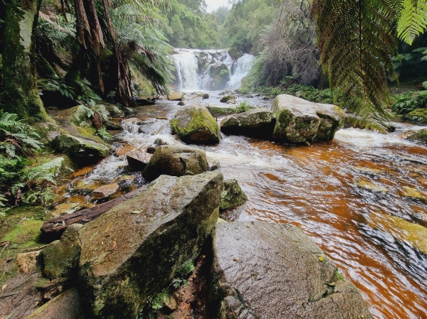 Halls Falls
