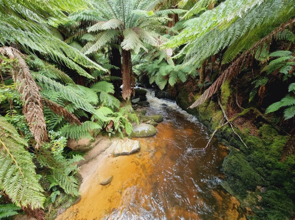 Halls Falls

