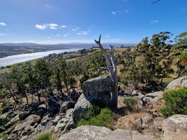 Bradys Lookout
