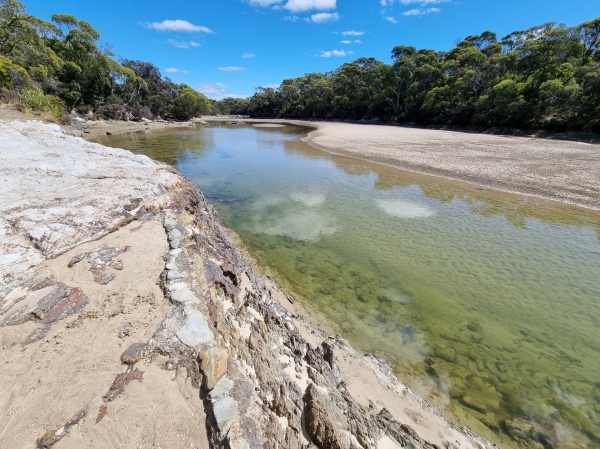 Crayfish Creek
