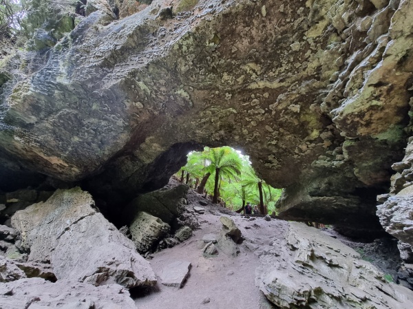 Tarkine Drive - Arch
