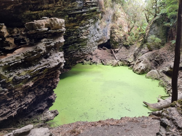 Tarkine Drive - Arch Sinkhole
