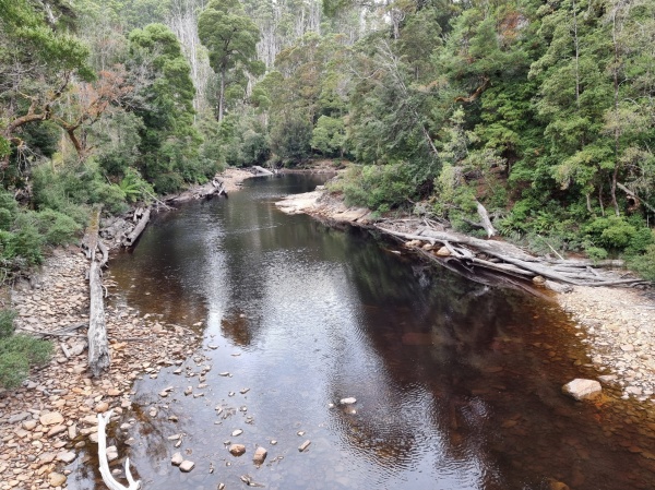 Tarkine Drive
