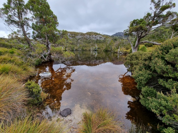 Cradle Mountain
