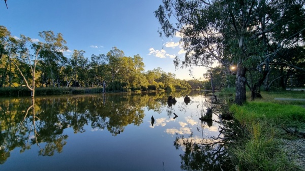 Narrandera NSW
