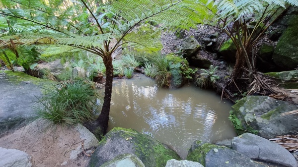 Carnarvon Park QLD
