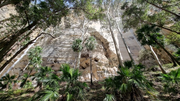 Carnarvon Park QLD
