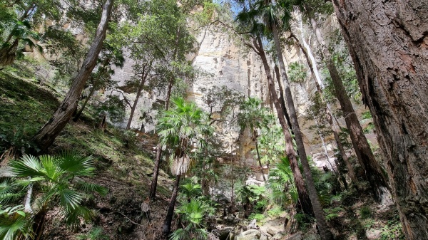 Carnarvon Park QLD
