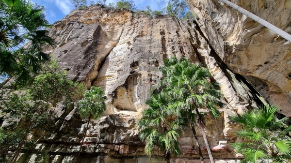 Carnarvon Park QLD
