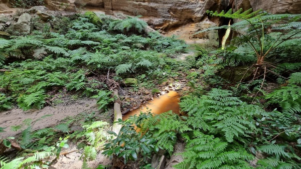 Carnarvon Park QLD
