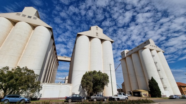 Kingaroy QLD
