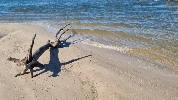 Sunshine Coast QLD
