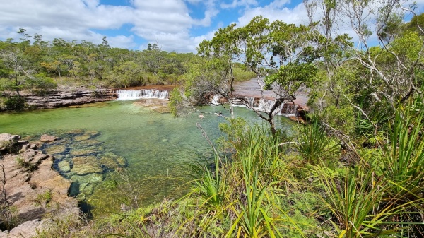 Shelburne QLD - Fruit bat falls
