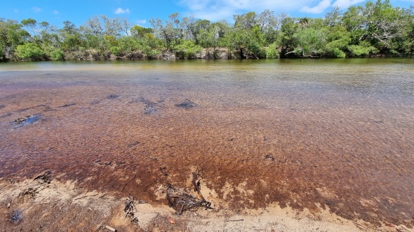 Jardine River QLD
